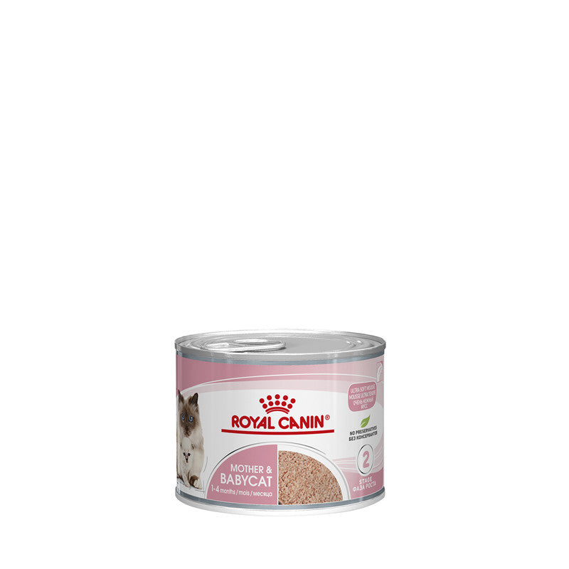 Royal Canin Katze Feline Health Nutrition Mother &amp; Babycat Ultra Soft Mousse Dose, 12 x 195 g