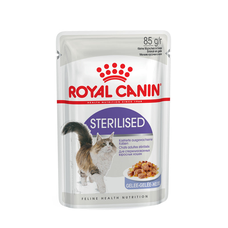 Royal Canin Katze Feline Health Nutrition Sterilised in Gelee 12 x Frischebeutel, 12 x 85 g