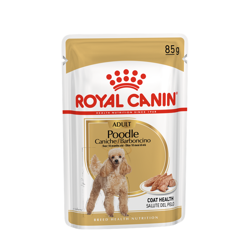 Royal Canin Hund Breed Health Nutrition Poodle Adult Frischebeutel, 12 x 85 g