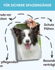 Zecken Spot-On