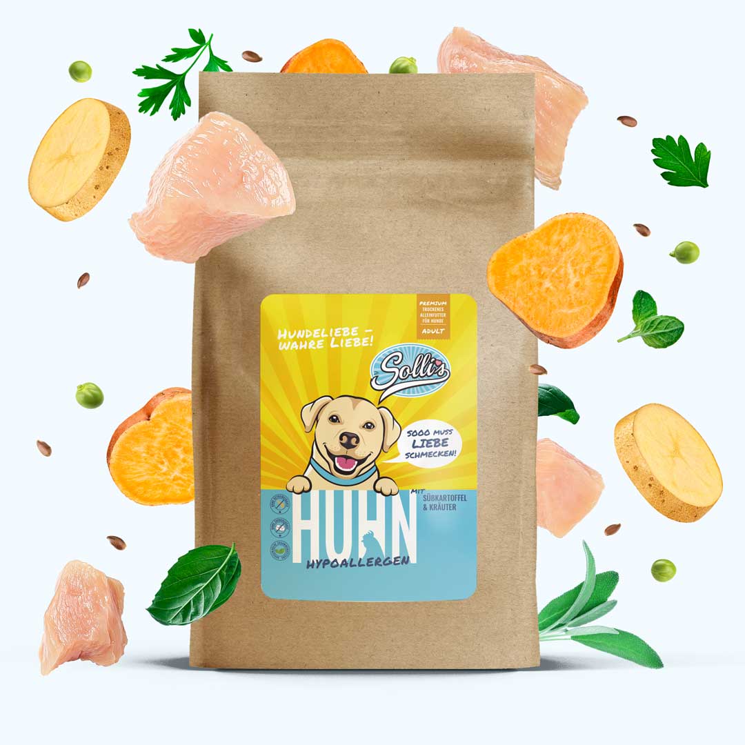 Huhn-Regular