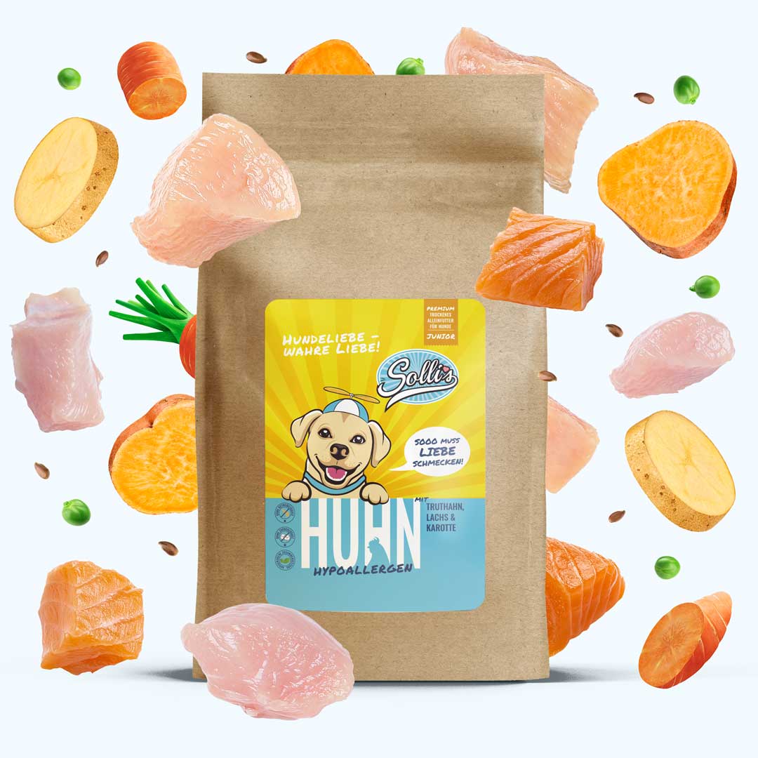 Huhn-Regular