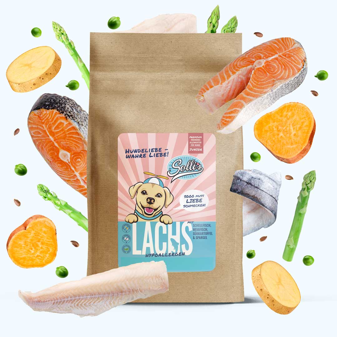 Lachs-Regular