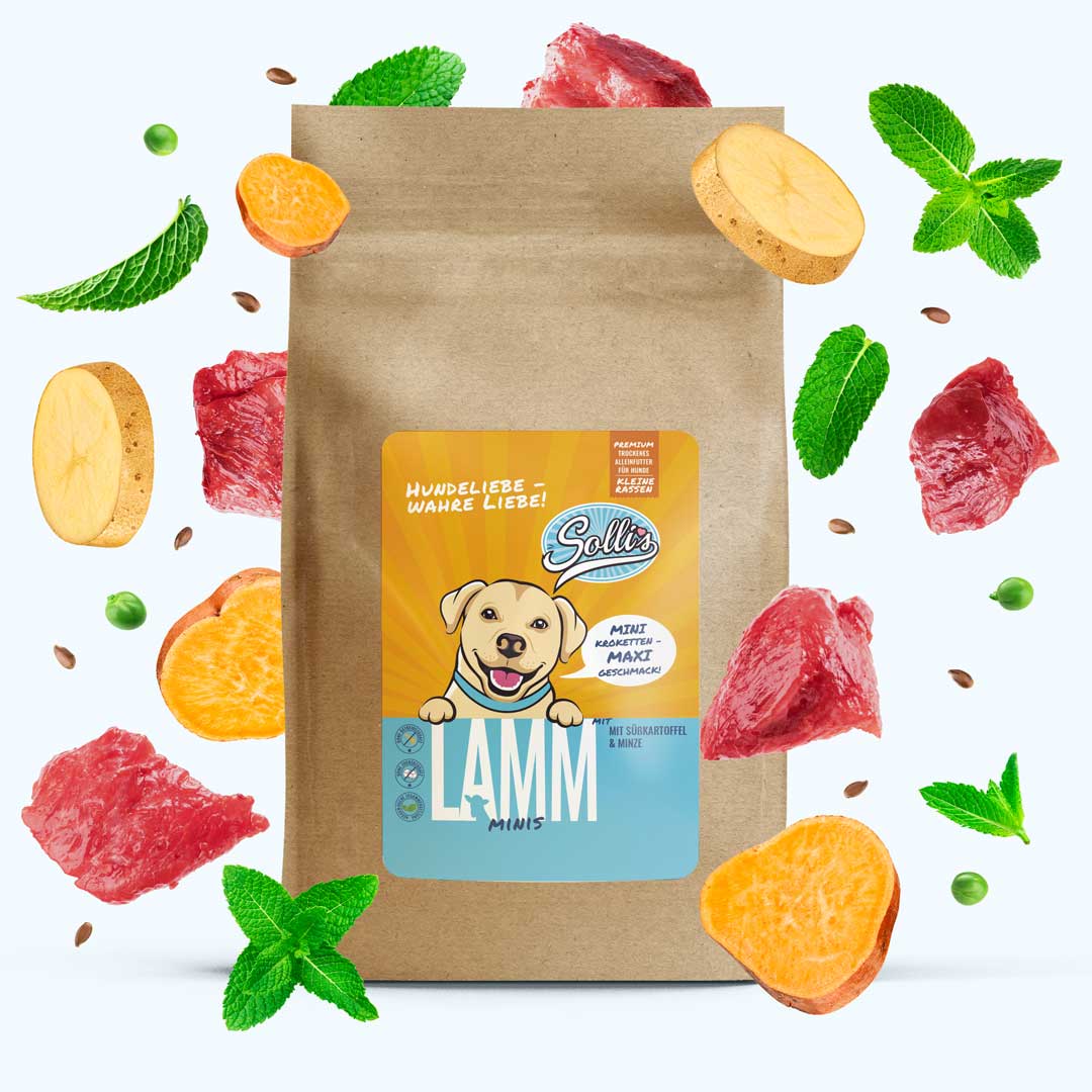 Lamm-Minis