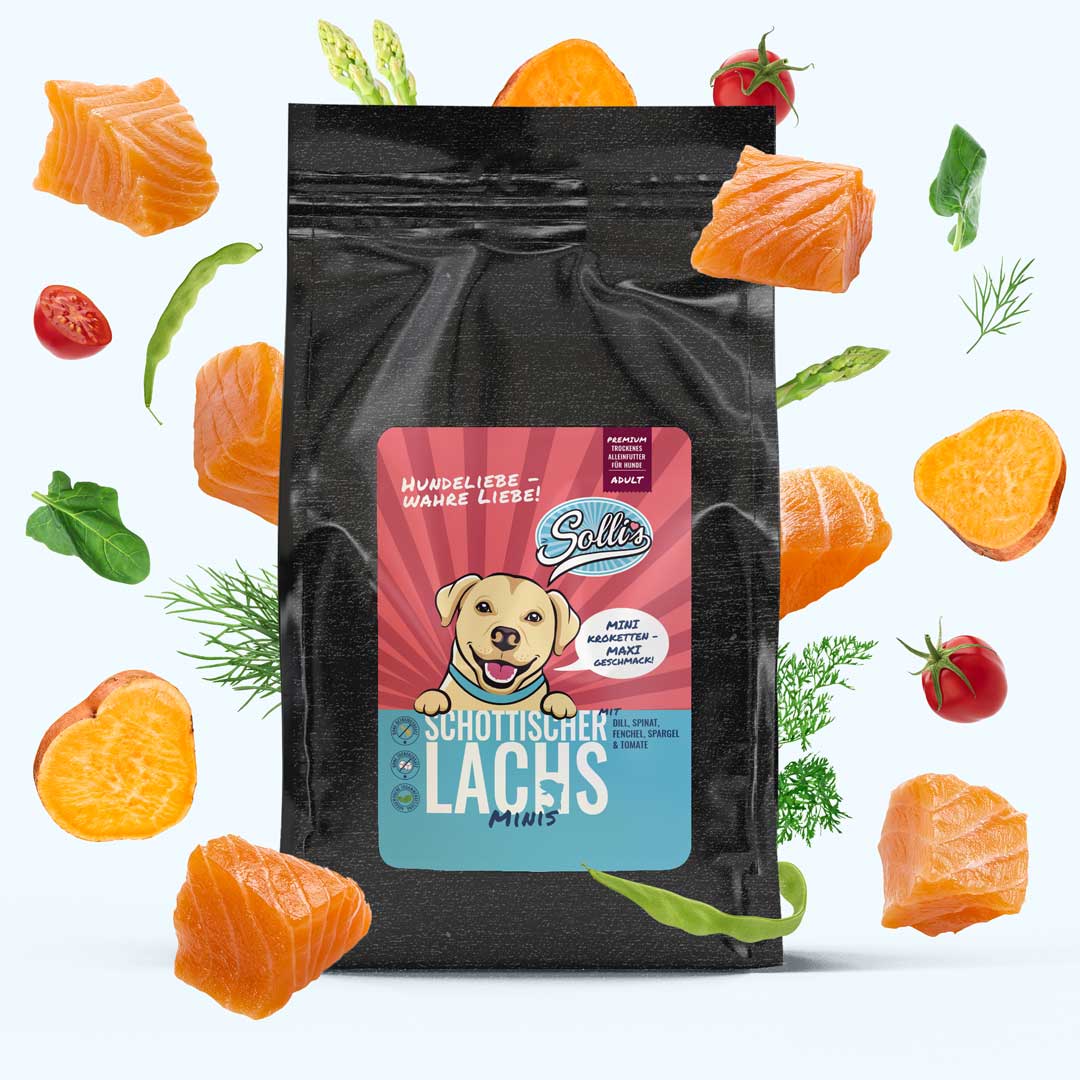 Lachs-Minis