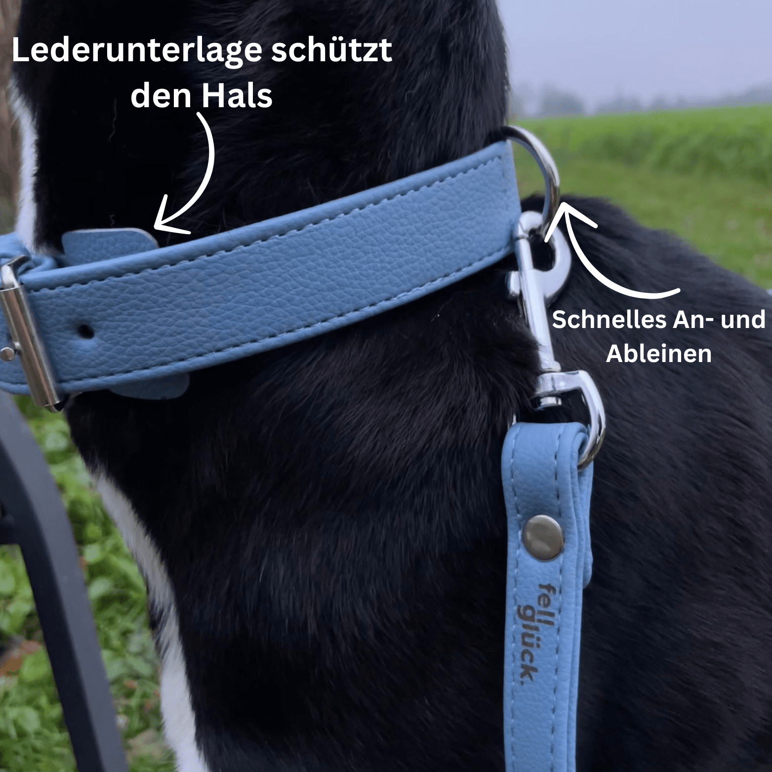 Artikel mit dem Namen Veganes Leder Hundehalsband personalisierbar (Sky) im Shop von zoo.de , dem Onlineshop für nachhaltiges Hundefutter und Katzenfutter.