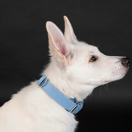 Artikel mit dem Namen Veganes Leder Hundehalsband personalisierbar (Sky) im Shop von zoo.de , dem Onlineshop für nachhaltiges Hundefutter und Katzenfutter.