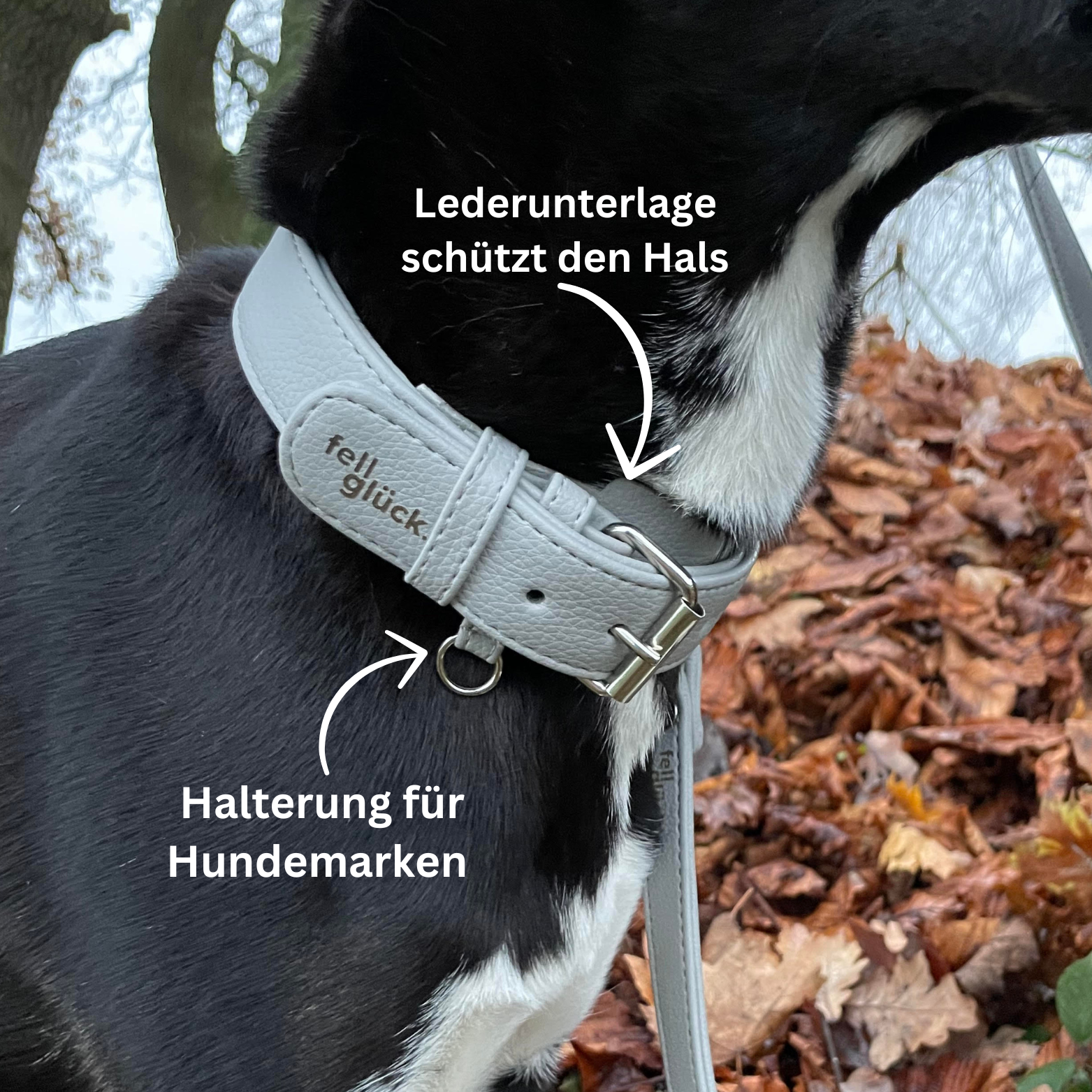 Artikel mit dem Namen Veganes Leder Hundehalsband personalisierbar (Stone) im Shop von zoo.de , dem Onlineshop für nachhaltiges Hundefutter und Katzenfutter.