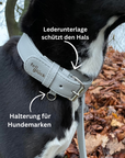 Artikel mit dem Namen Veganes Leder Hundehalsband personalisierbar (Stone) im Shop von zoo.de , dem Onlineshop für nachhaltiges Hundefutter und Katzenfutter.