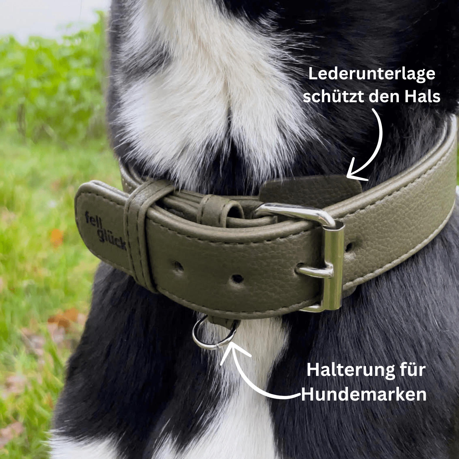 Artikel mit dem Namen Veganes Leder Hundehalsband personalisierbar (Waldgrün) im Shop von zoo.de , dem Onlineshop für nachhaltiges Hundefutter und Katzenfutter.