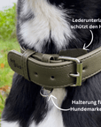 Artikel mit dem Namen Veganes Leder Hundehalsband personalisierbar (Waldgrün) im Shop von zoo.de , dem Onlineshop für nachhaltiges Hundefutter und Katzenfutter.