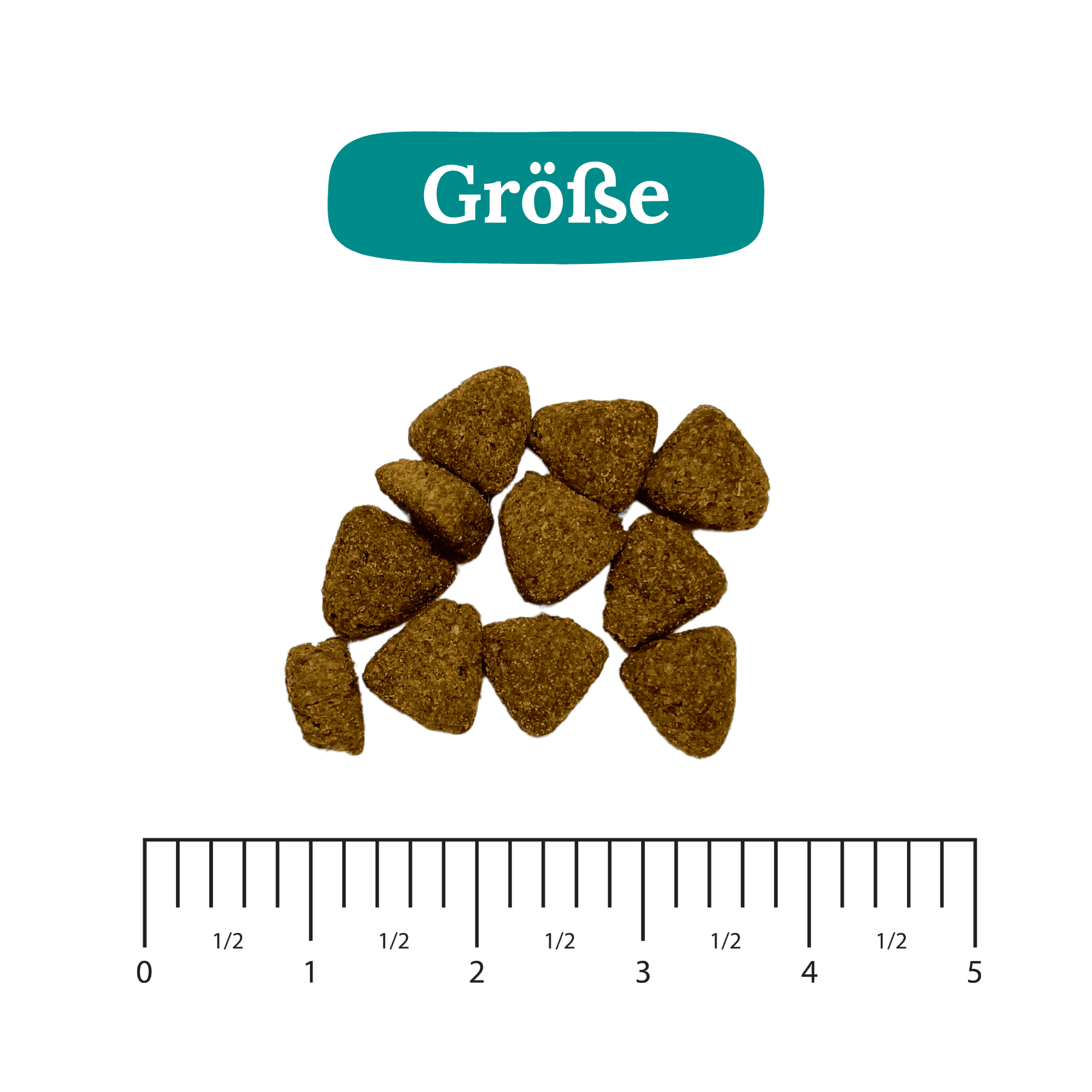 Braune Hundefutter Kibble Textur und Größe Detailaufnahme mit Maßstab