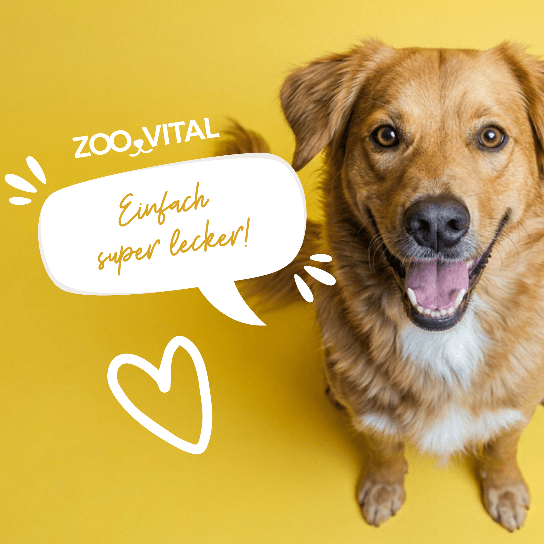 Glücklicher goldenbrauner Hund vor gelbem Hintergrund mit zooVital Logo