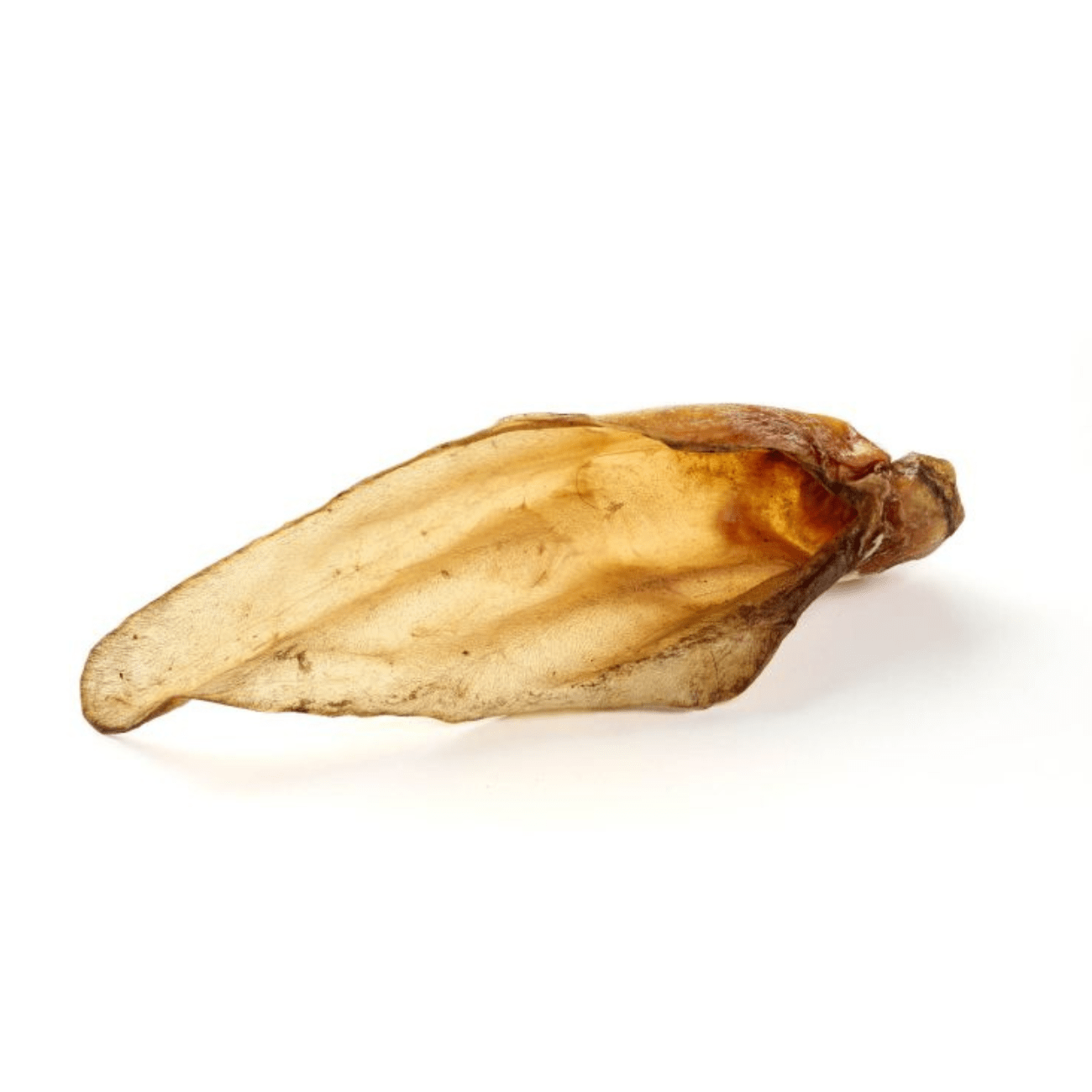 Einzelnes getrocknetes Rinderohr für Hunde Zahnpflege Snack