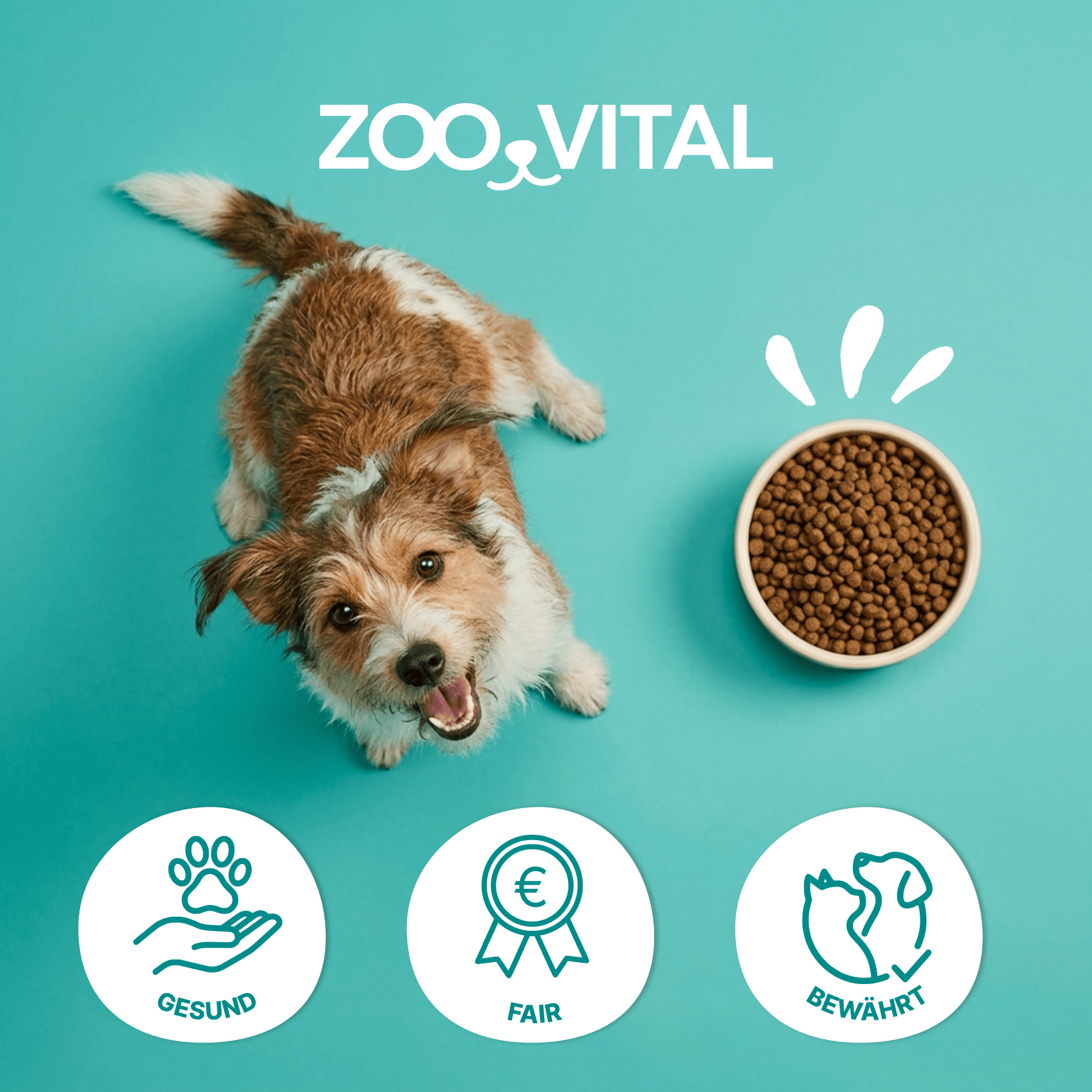terrier dog with bowl of healthy fair proven zooVITAL kibble