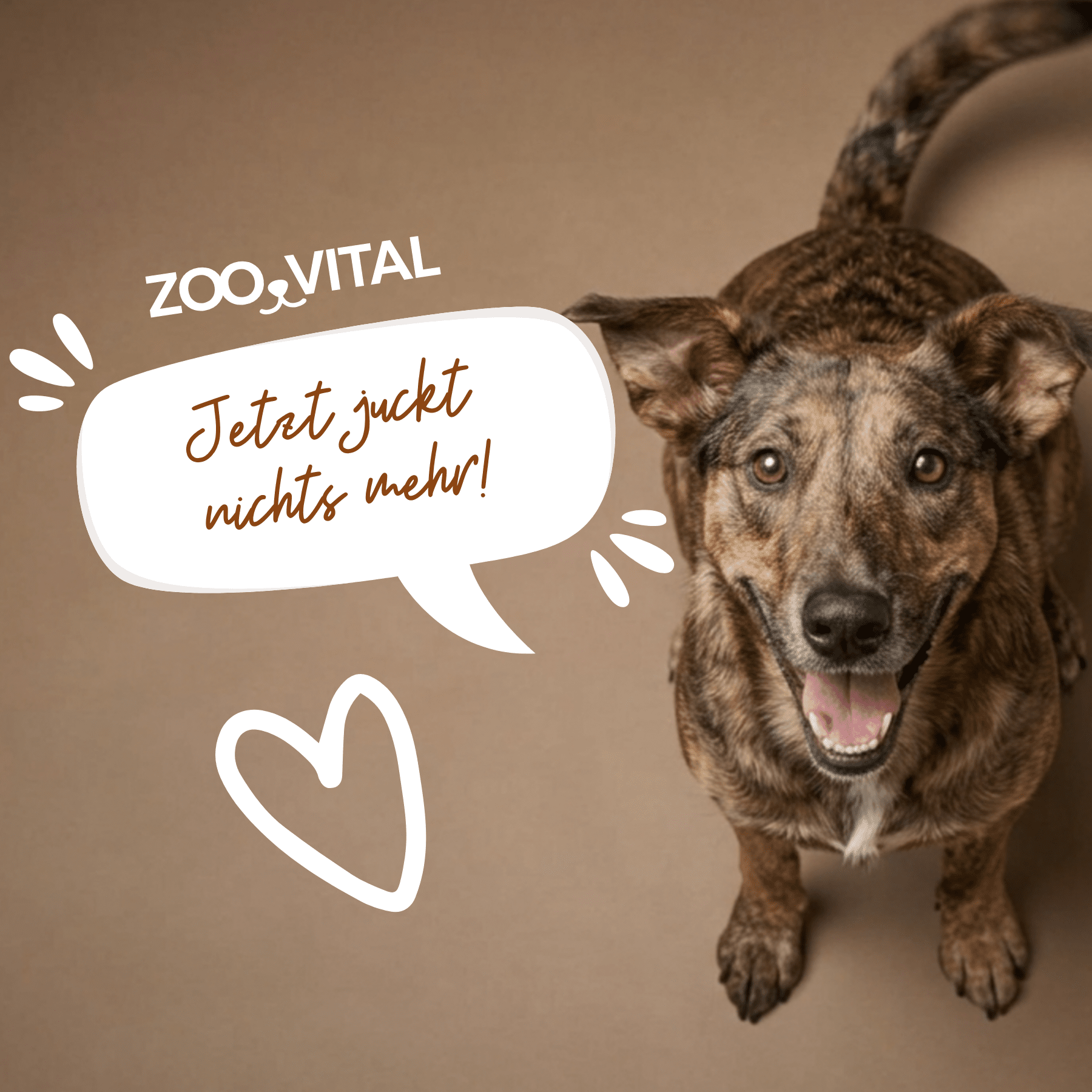 brindle dog with ZOO.VITAL no itching anymore formula