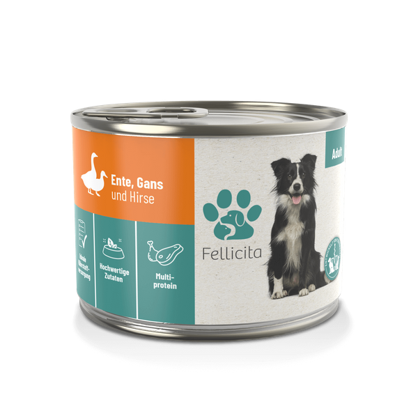 Artikel mit dem Namen Fellicita Ente, Gans &amp; Hirse für Hunde im Shop von zoo.de , dem Onlineshop für nachhaltiges Hundefutter und Katzenfutter.