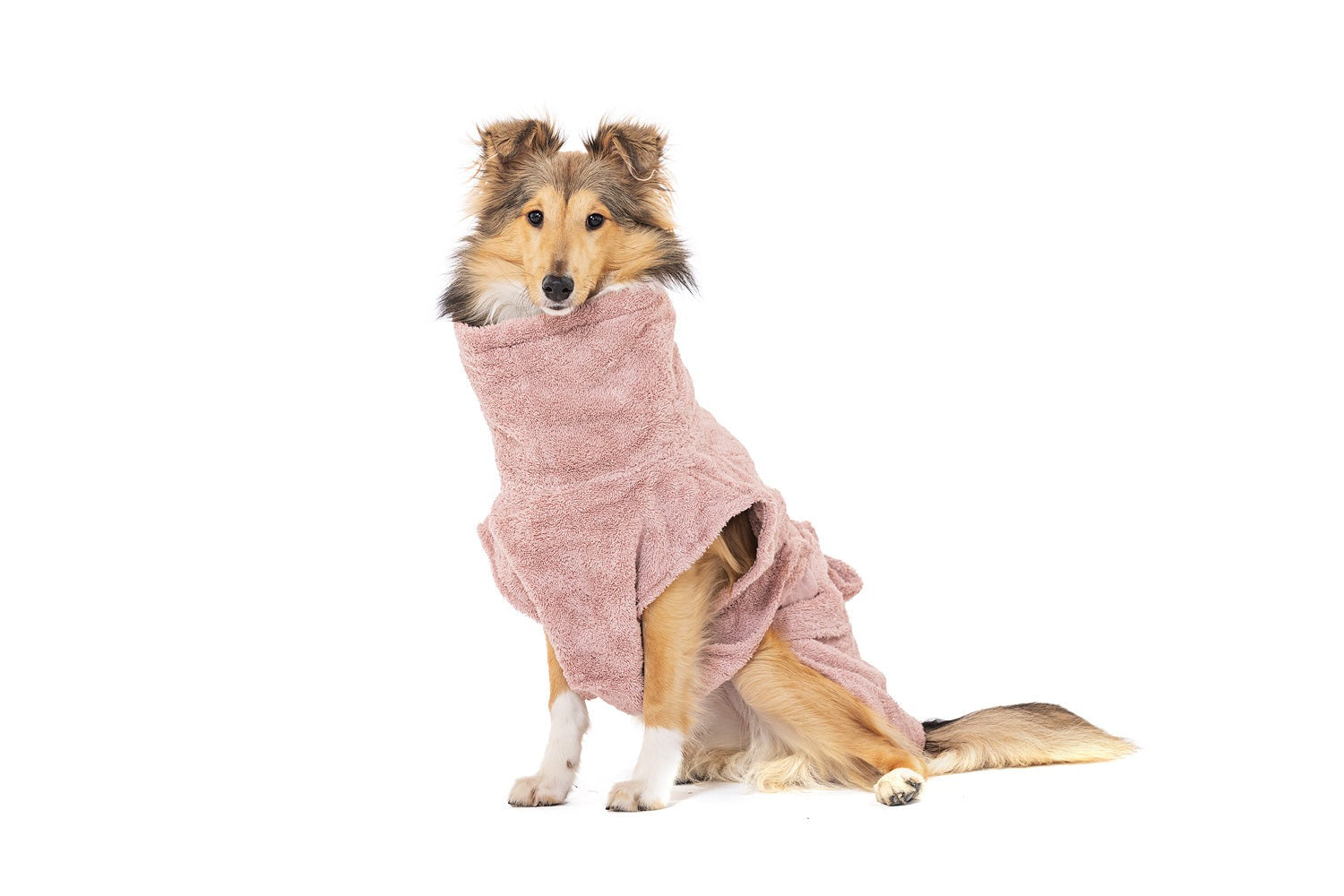 Artikel mit dem Namen Hundebademantel aus Bio-Baumwolle &quot;Pink Berry&quot; im Shop von zoo.de , dem Onlineshop für nachhaltiges Hundefutter und Katzenfutter.