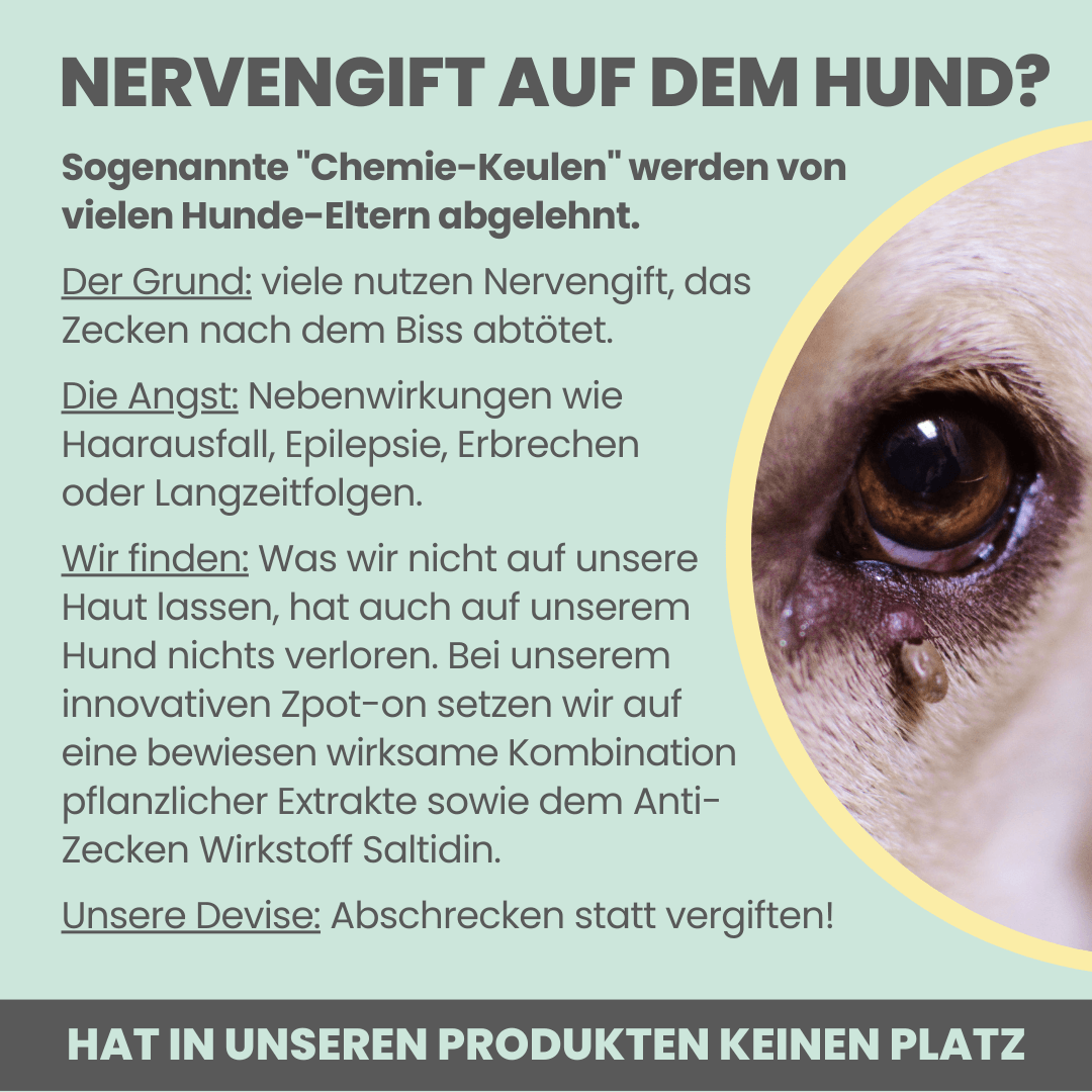 Artikel mit dem Namen Noms+ Zpot-on für Hunde im Shop von zoo.de , dem Onlineshop für nachhaltiges Hundefutter und Katzenfutter.