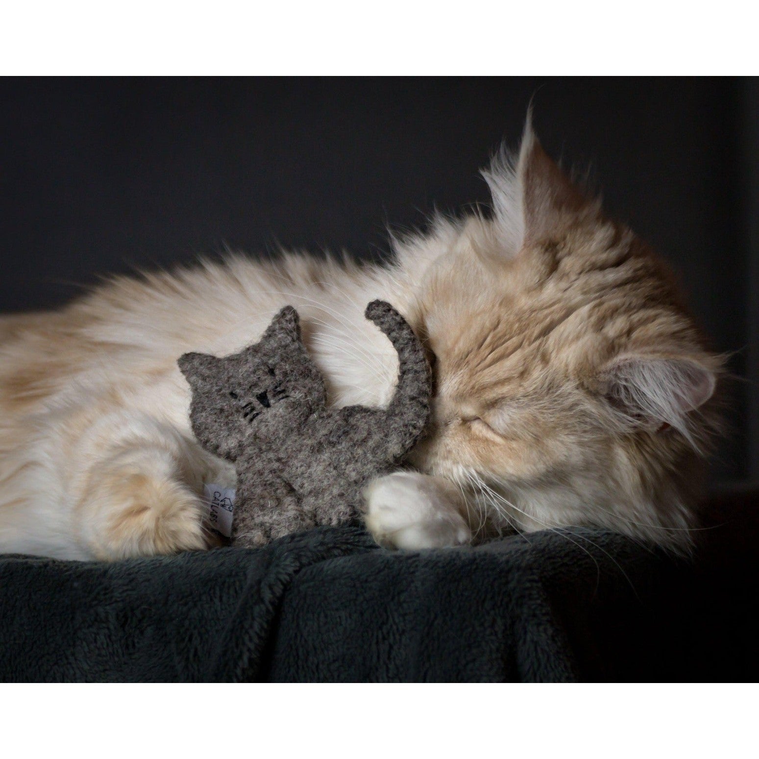 Artikel mit dem Namen Catlabs Kuschelige Katze mit Katzenminze im Shop von zoo.de , dem Onlineshop für nachhaltiges Hundefutter und Katzenfutter.