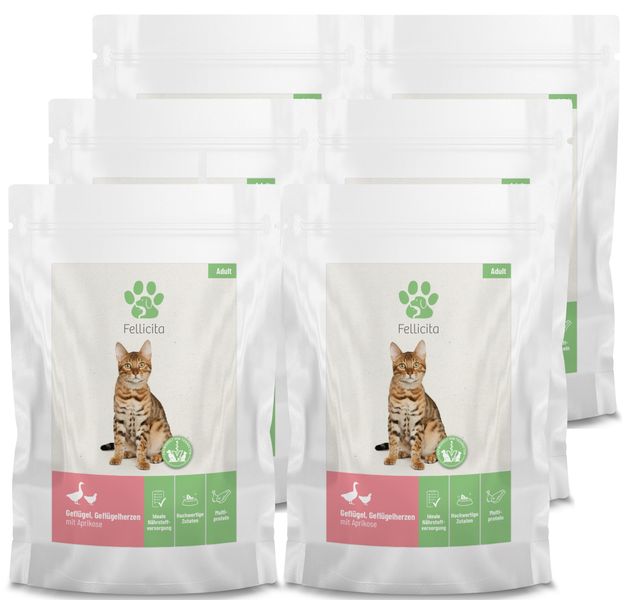 Artikel mit dem Namen Fellicita Geflügel & Geflügelherzen Frischebeutel für Katzen im Shop von zoo.de , dem Onlineshop für nachhaltiges Hundefutter und Katzenfutter.