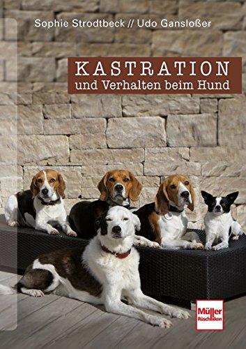 Artikel mit dem Namen Kastration und Verhalten beim Hund - Eine Entscheidungshilfe im Shop von zoo.de , dem Onlineshop für nachhaltiges Hundefutter und Katzenfutter.