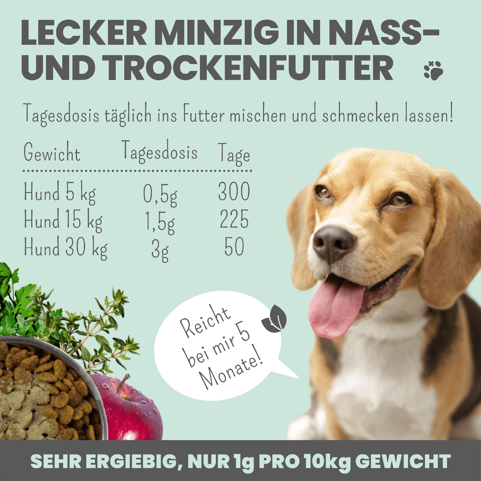 Artikel mit dem Namen Noms+ Dental-Pulver im Shop von zoo.de , dem Onlineshop für nachhaltiges Hundefutter und Katzenfutter.