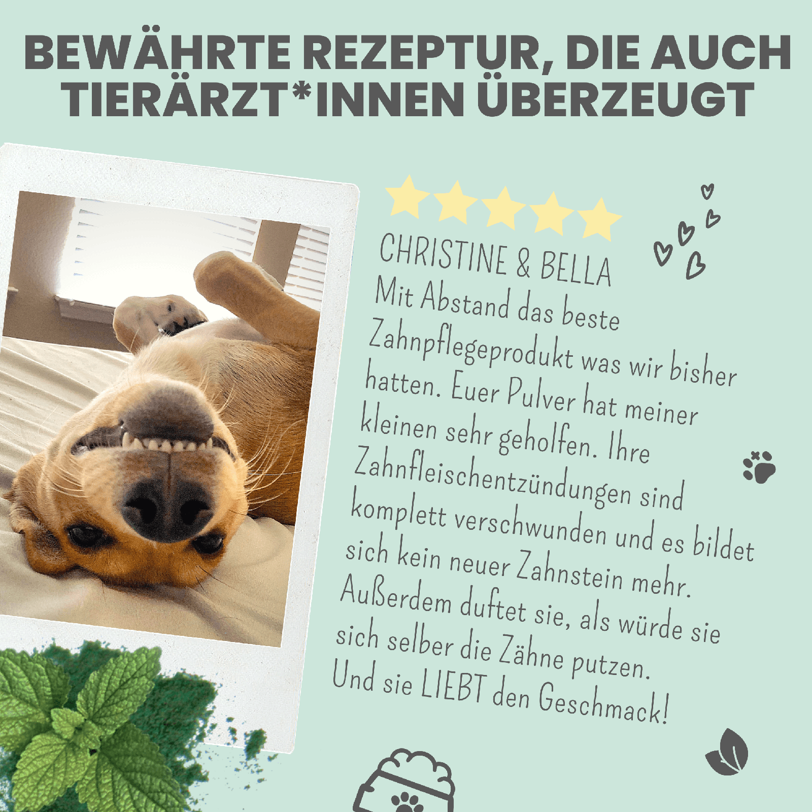 Artikel mit dem Namen Noms+ Dental-Pulver im Shop von zoo.de , dem Onlineshop für nachhaltiges Hundefutter und Katzenfutter.