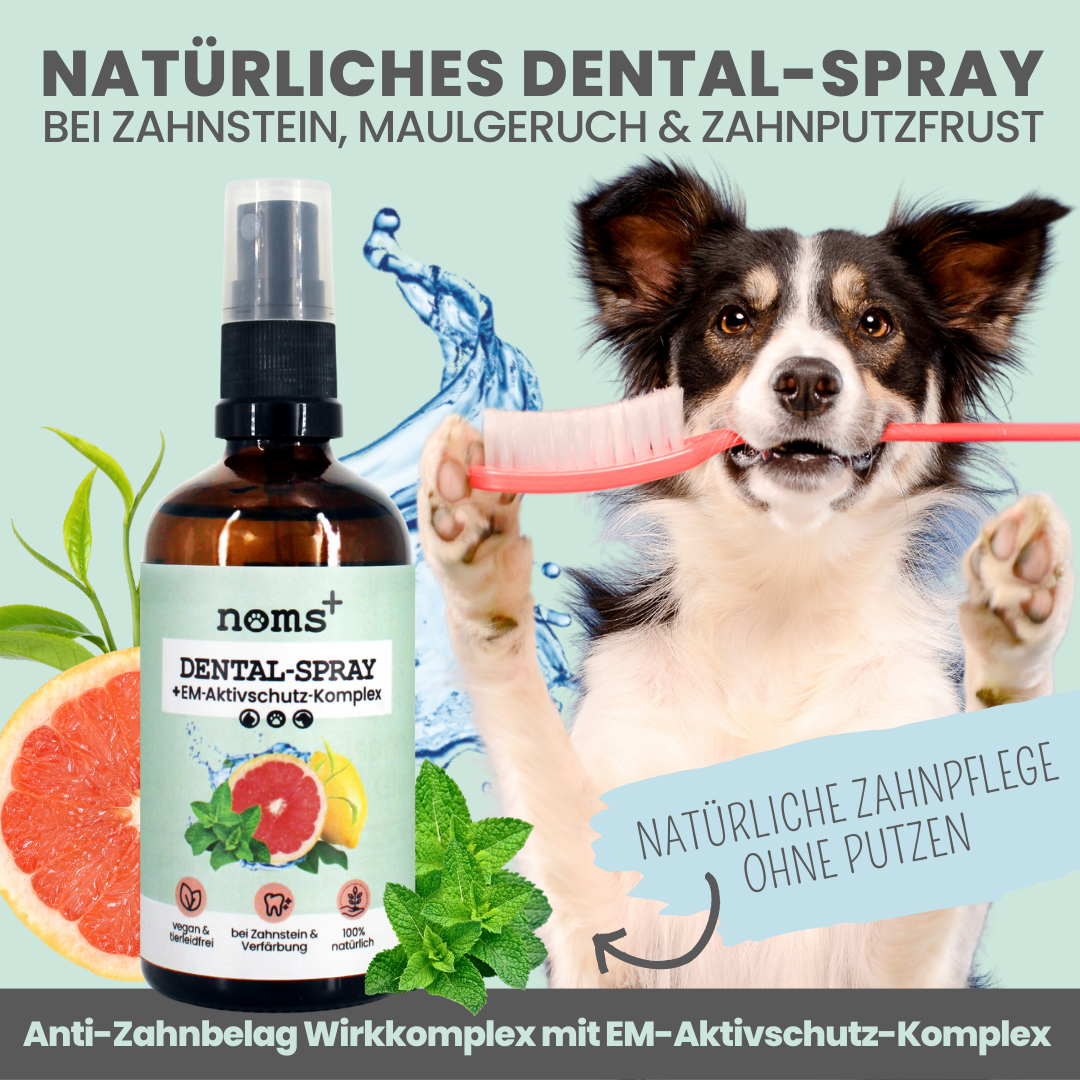 Artikel mit dem Namen Noms+ Dental-Spray für Hunde und Katzen im Shop von zoo.de , dem Onlineshop für nachhaltiges Hundefutter und Katzenfutter.