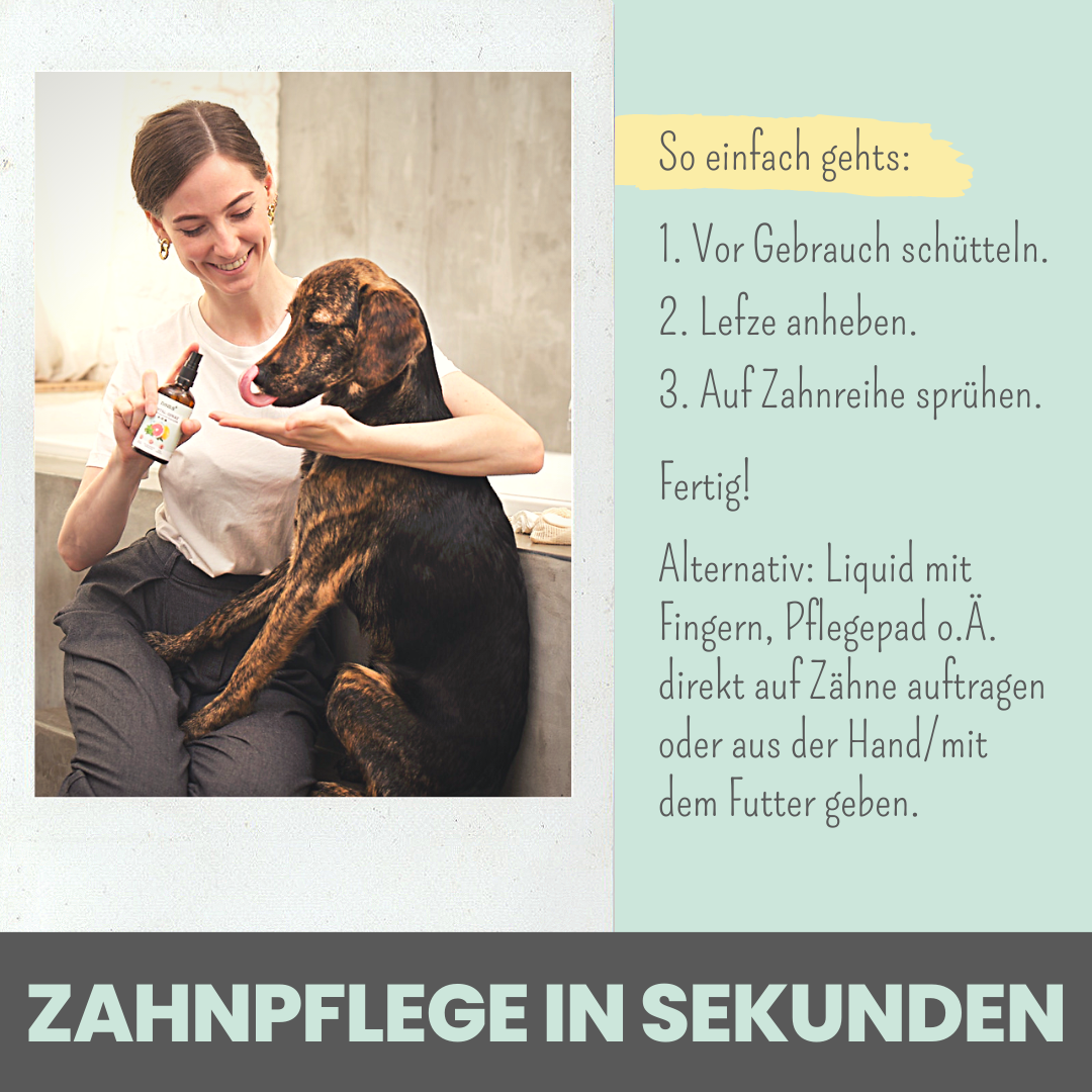 Artikel mit dem Namen Noms+ Dental-Spray für Hunde und Katzen im Shop von zoo.de , dem Onlineshop für nachhaltiges Hundefutter und Katzenfutter.