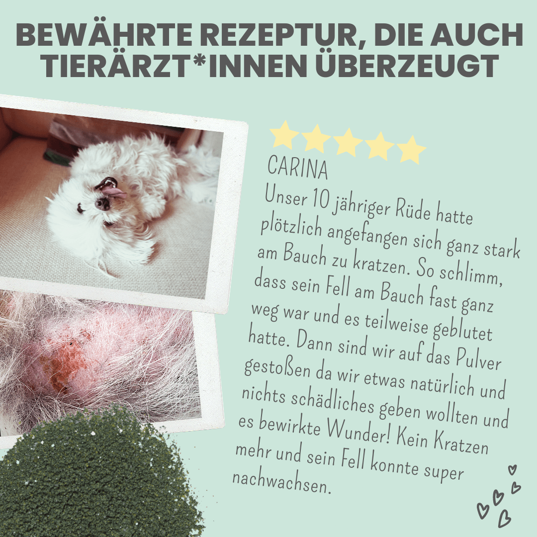 Artikel mit dem Namen Noms+ Haut- und Fellmix-Pulver im Shop von zoo.de , dem Onlineshop für nachhaltiges Hundefutter und Katzenfutter.