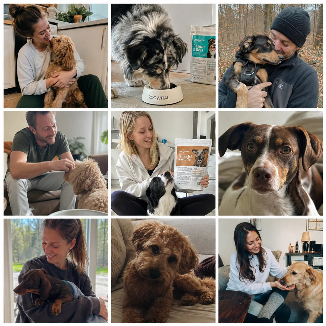 Hund frisst zooVital-Futter im Alltag